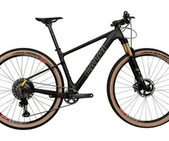 2025 Caloi ELITE CARBON TEAM Mountain Bike (GUN2BIKESHOP)